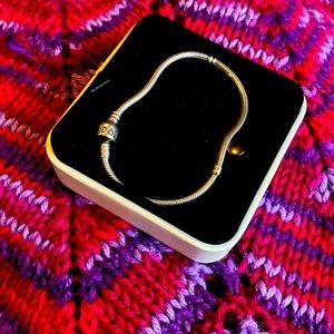 Pandora Moments Silver Snake Chain Bracelet